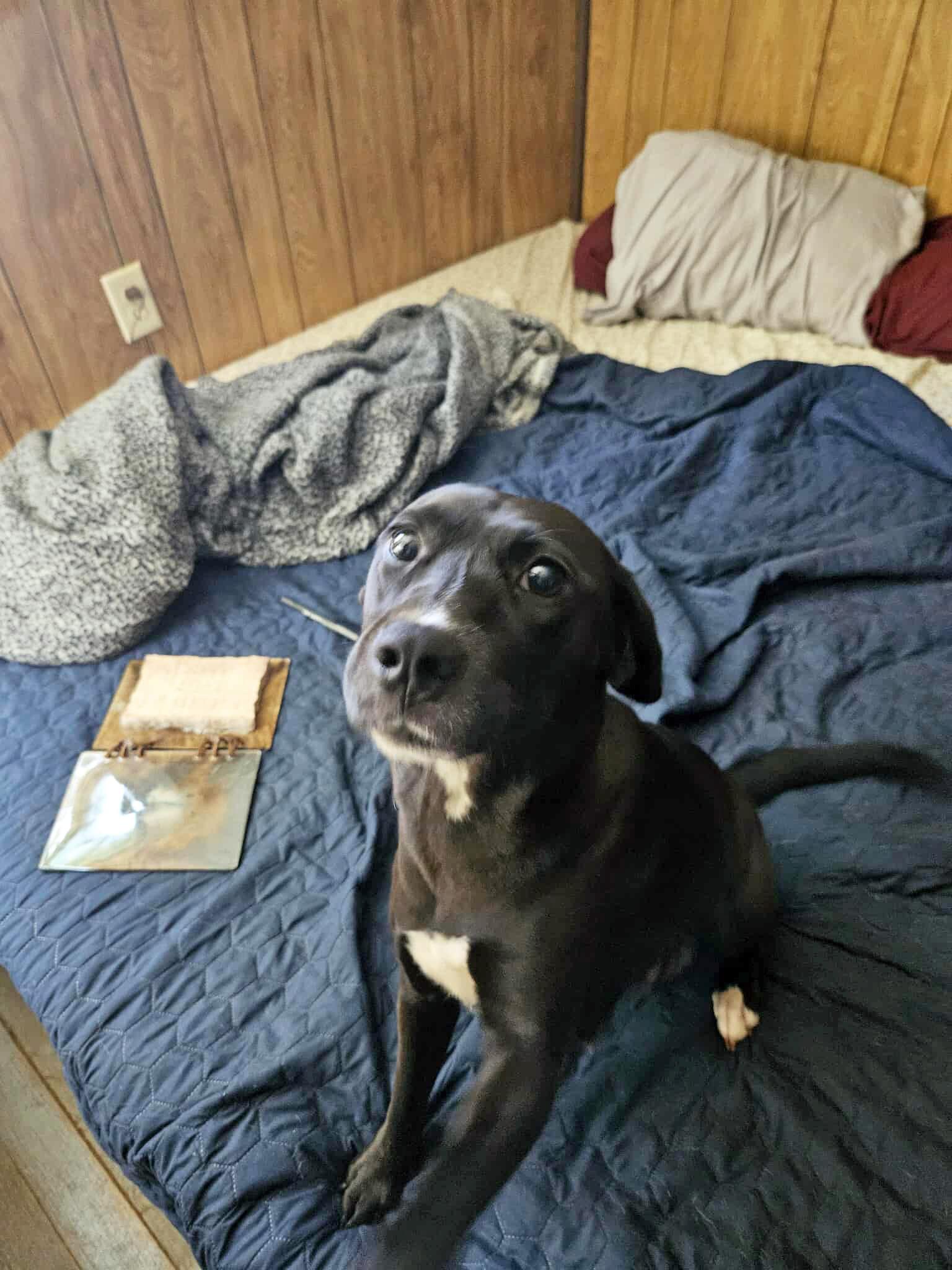 Maybelle