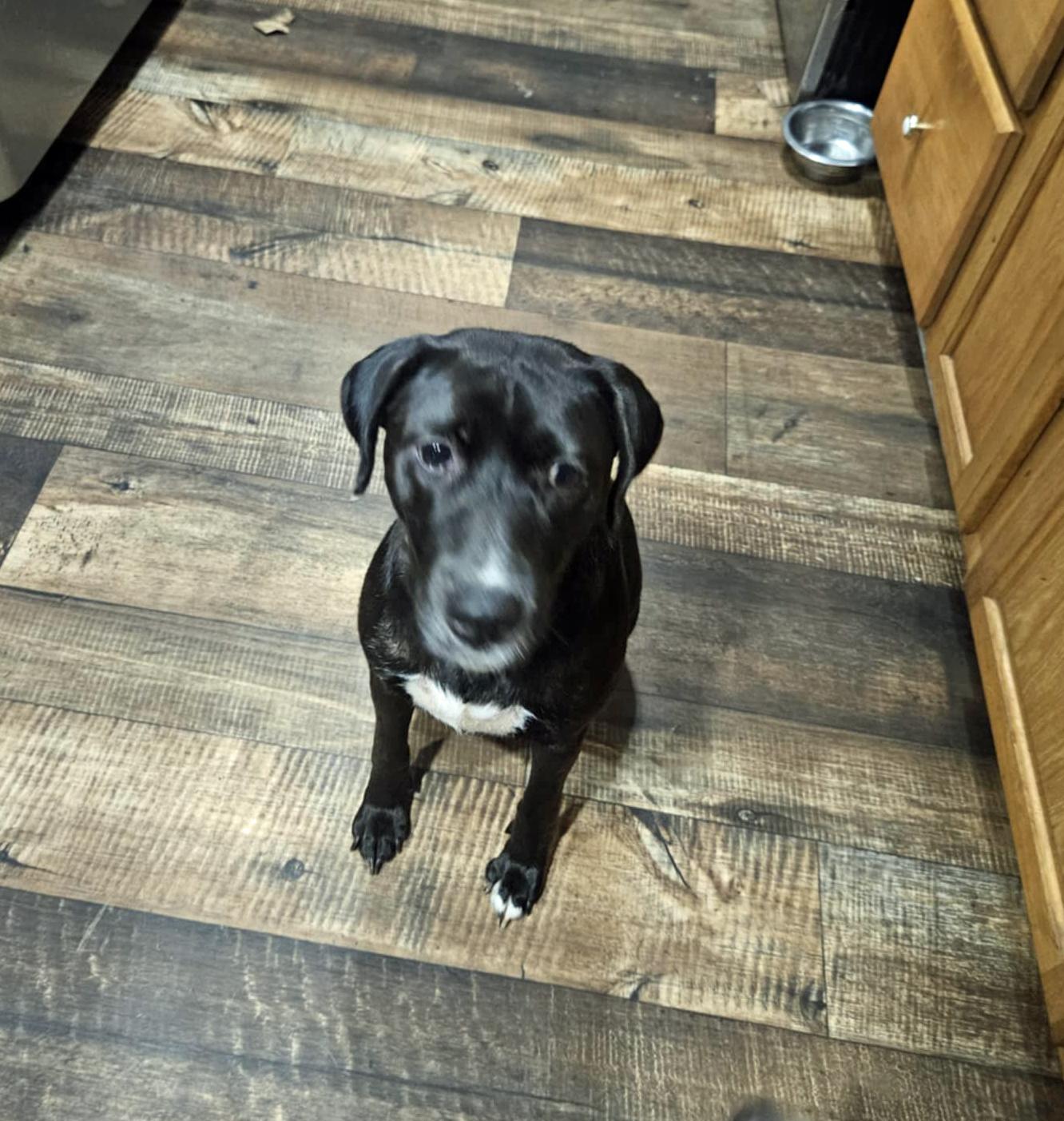 Maybelle