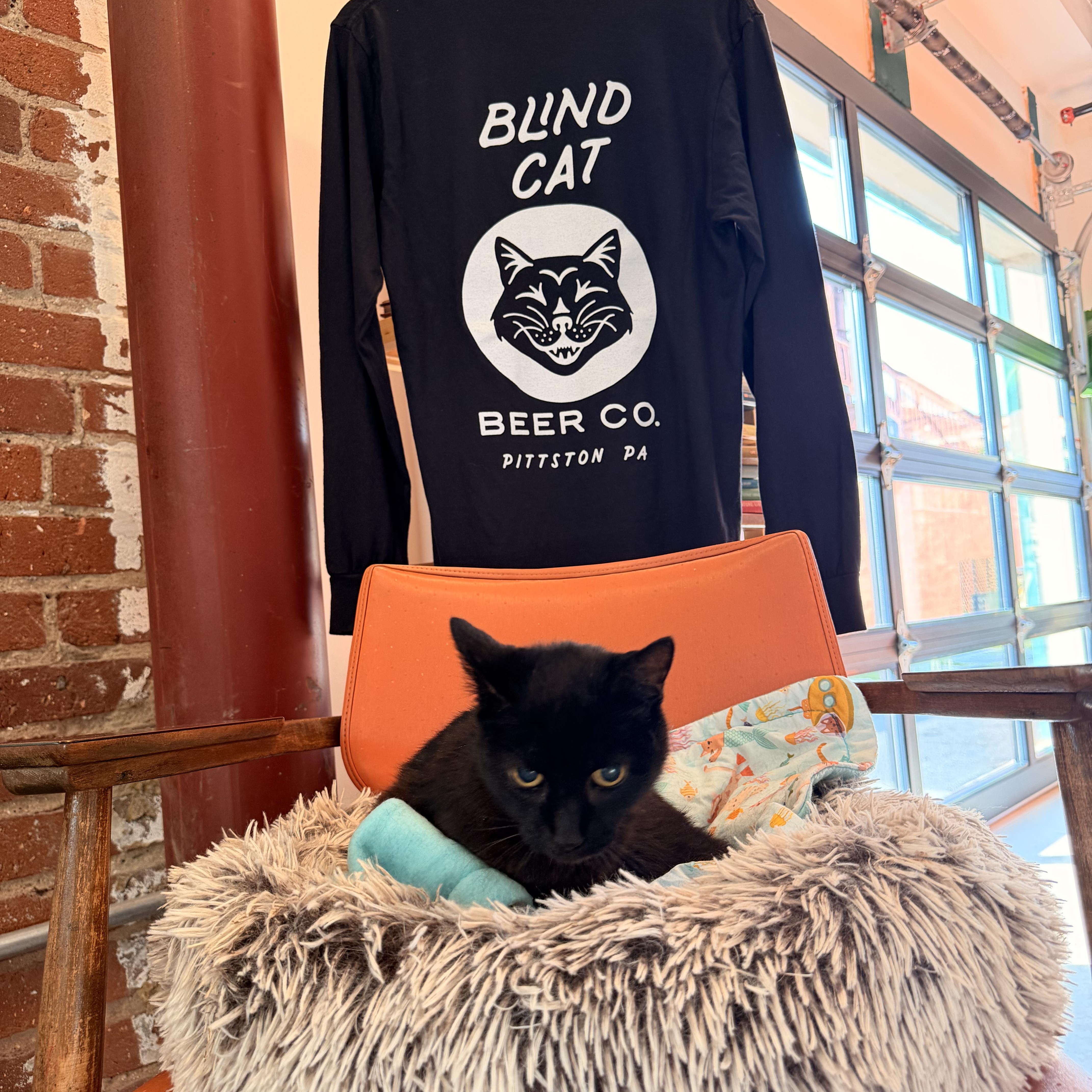 Enlarge BeeBee, a Adoptable Domestic Short Hair in Scranton, PA image 3/6