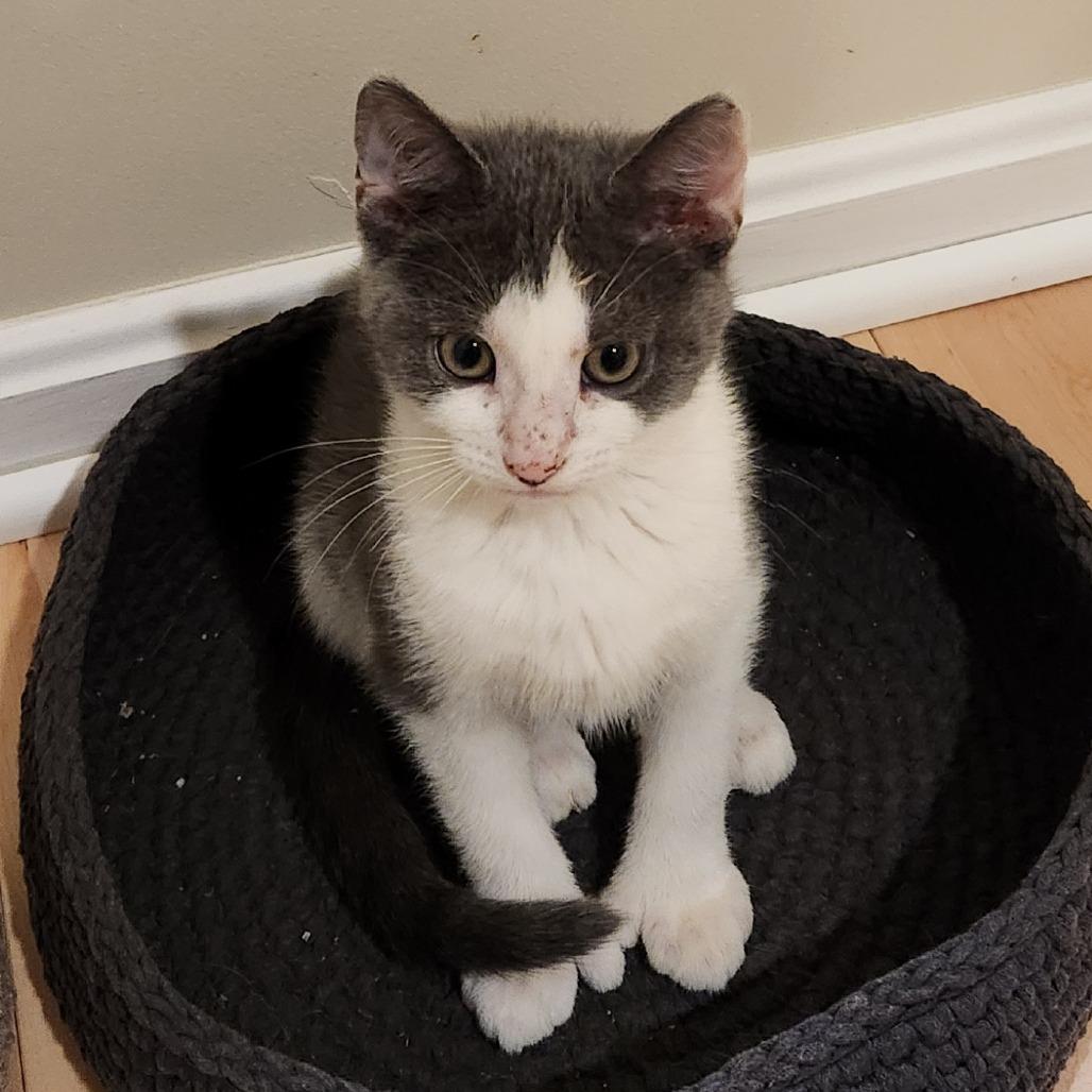 Mitten — thumbnail 2