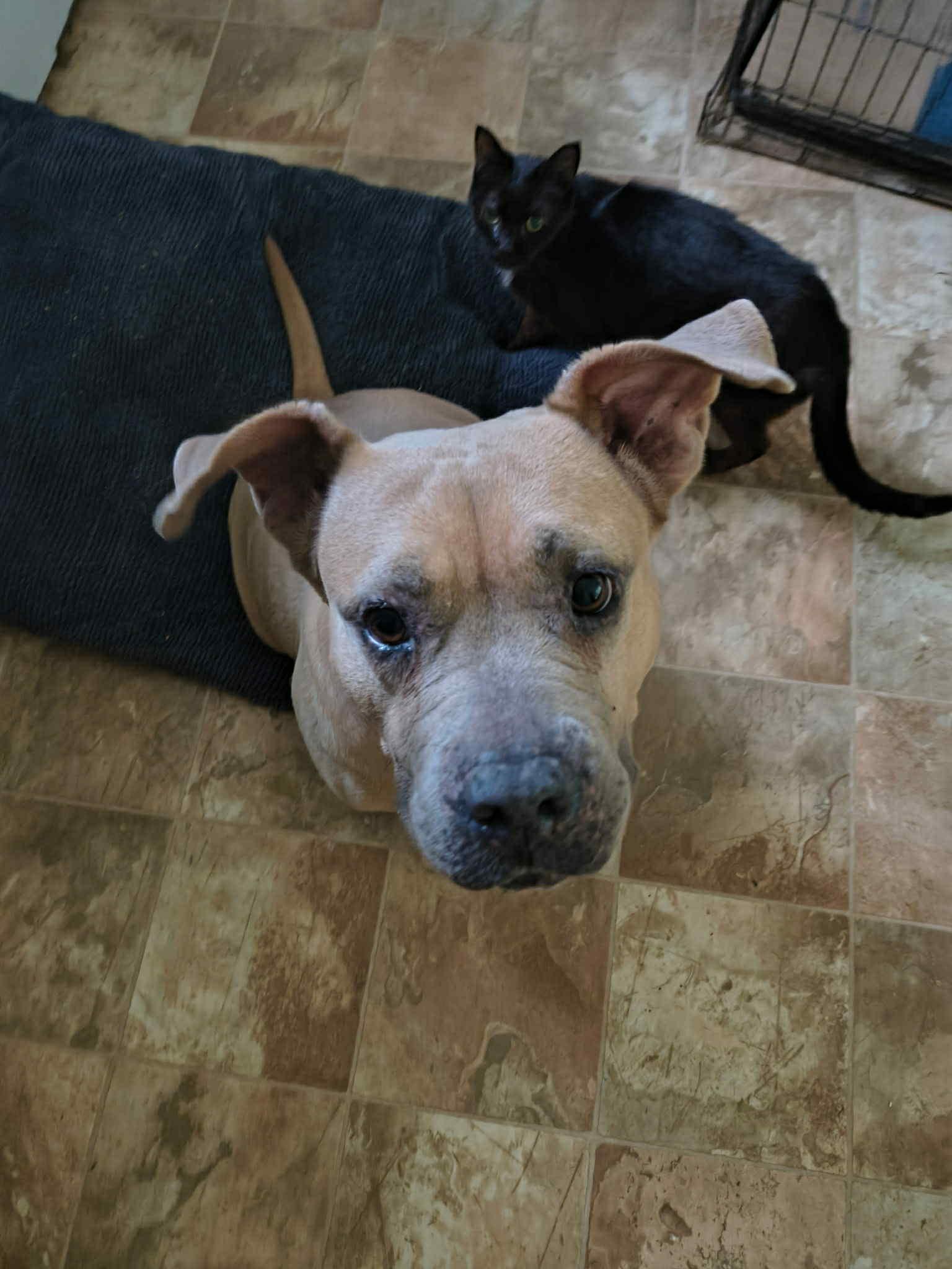 Chloe