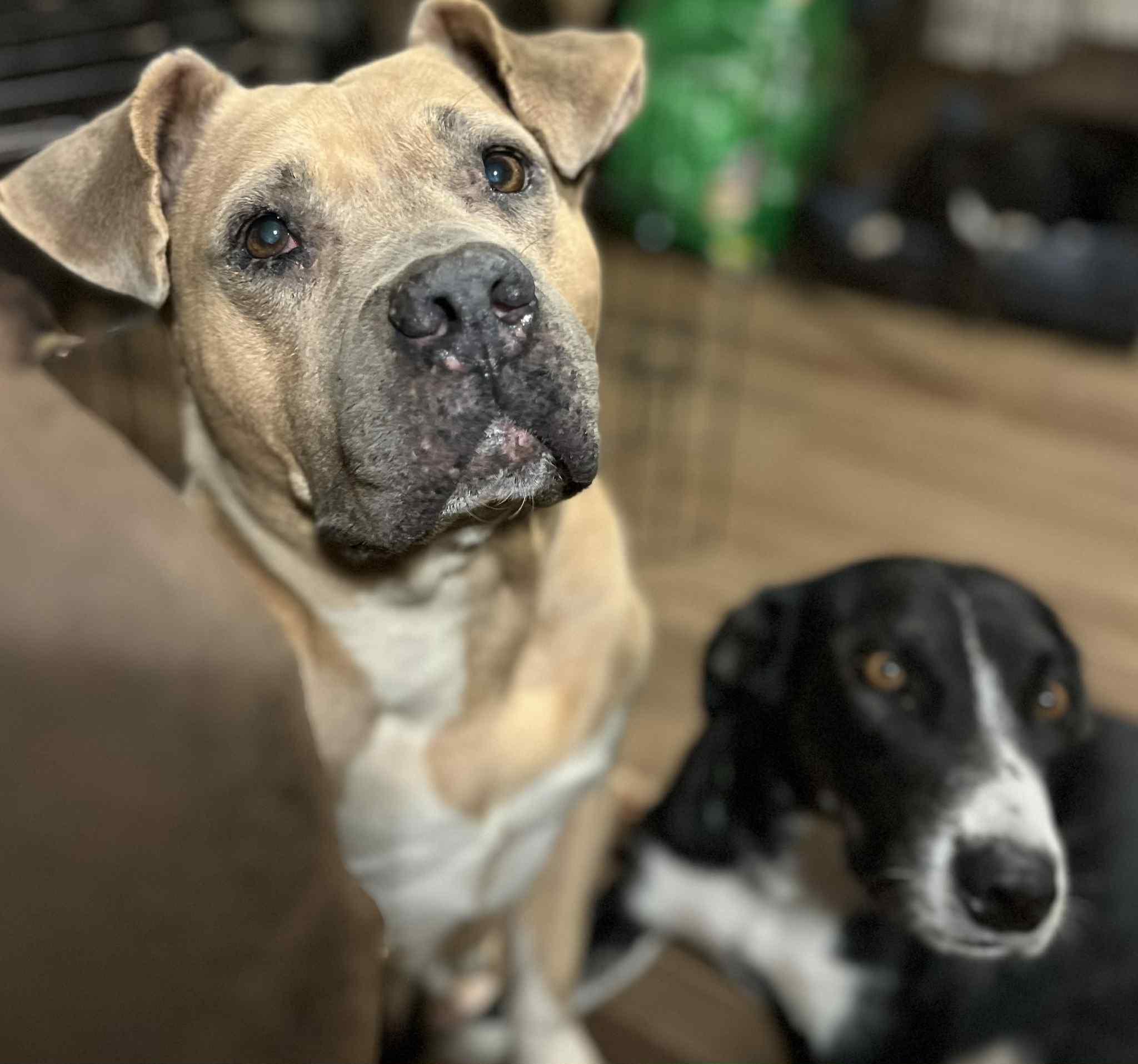Chloe