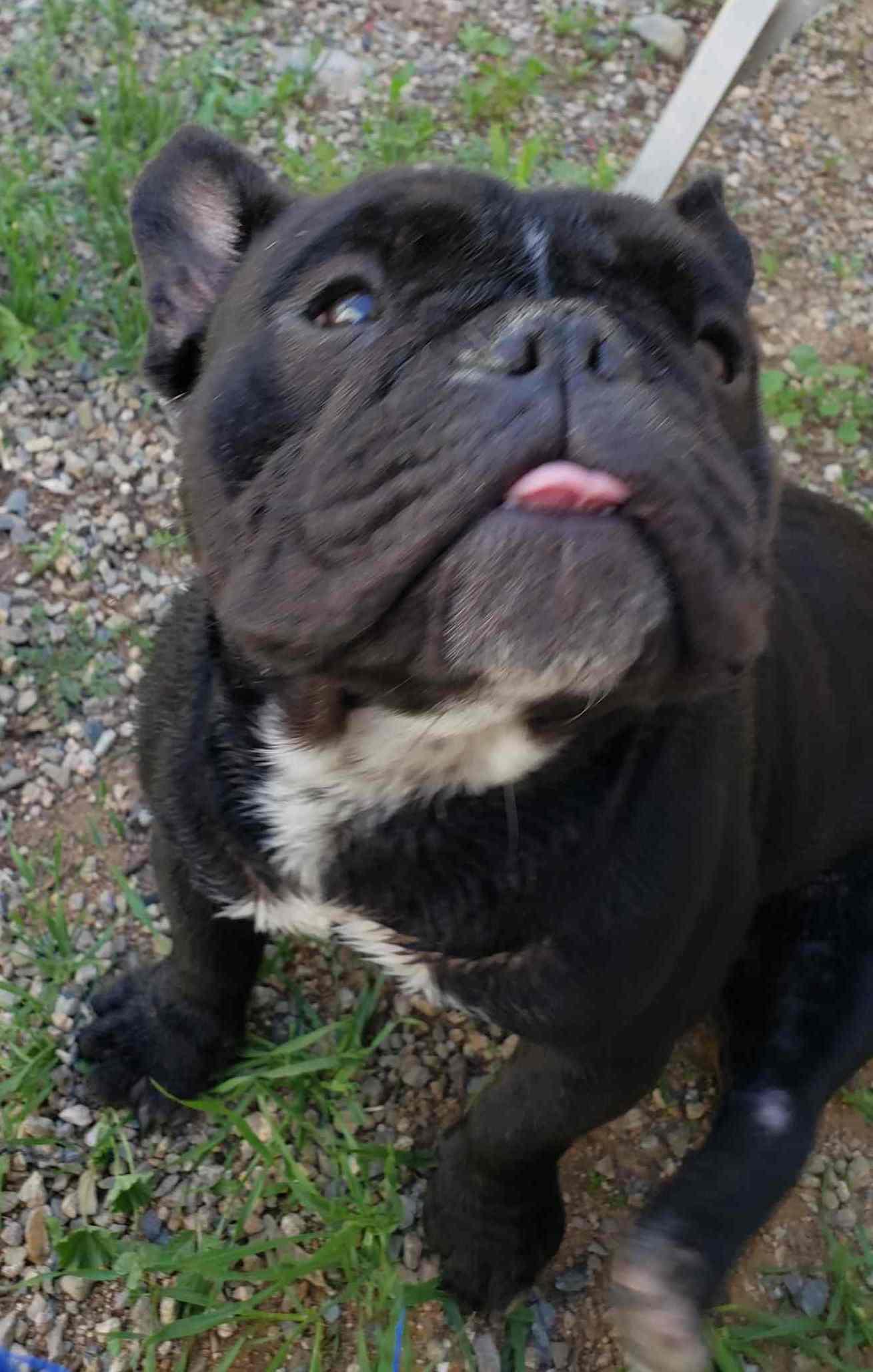 Juliette thumbnail 5