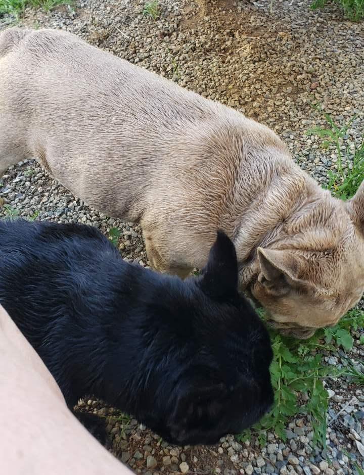 Juliette thumbnail 4