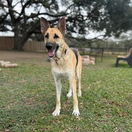 Zora Cozy Concierge — thumbnail 4