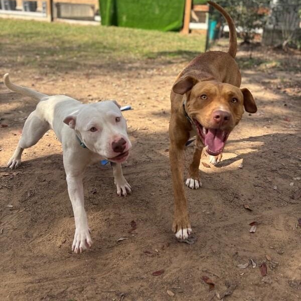 Kayne lovely — thumbnail 5