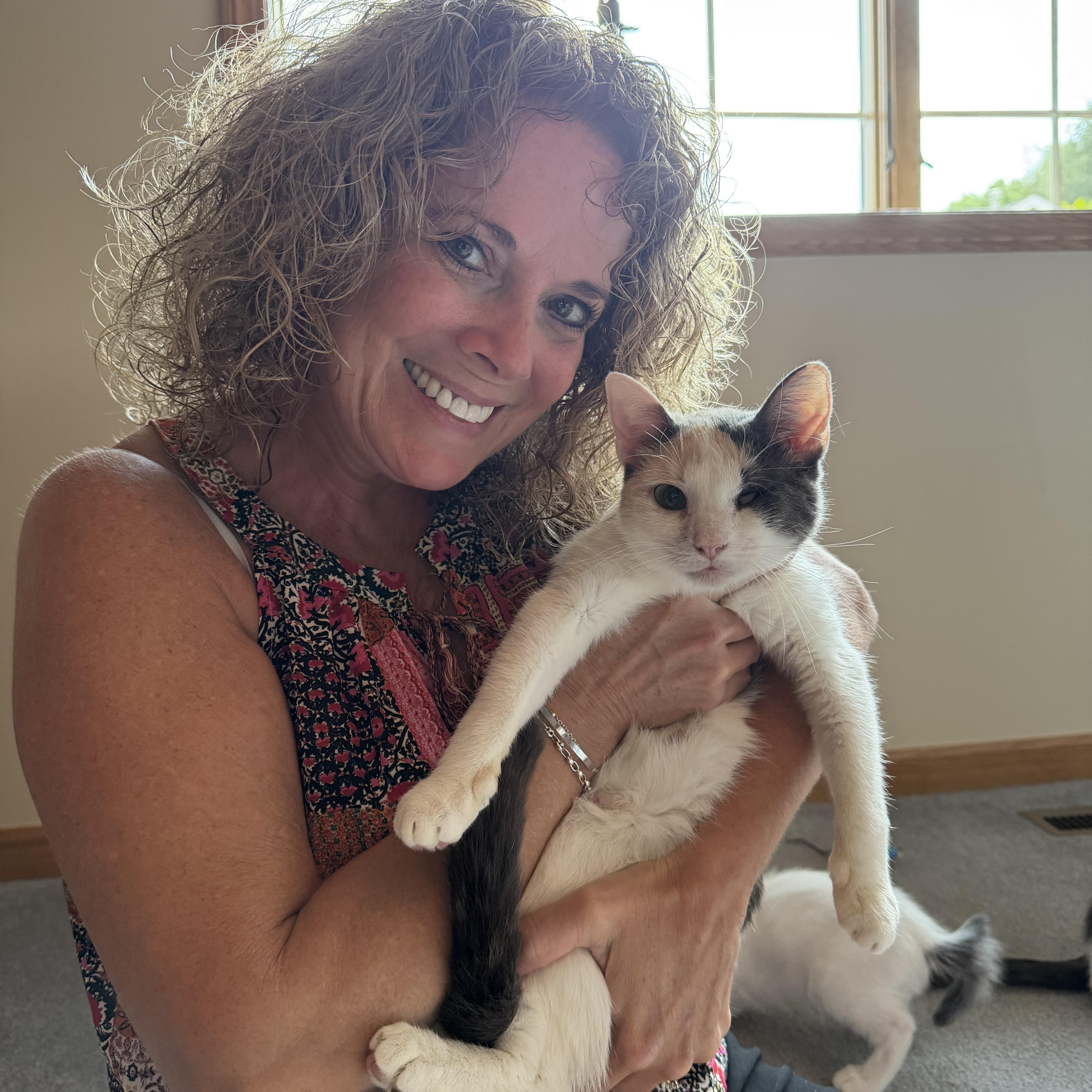 Enlarge Sweet Cora, a ADOPTABLE Calico in Copley, OH image 2/3