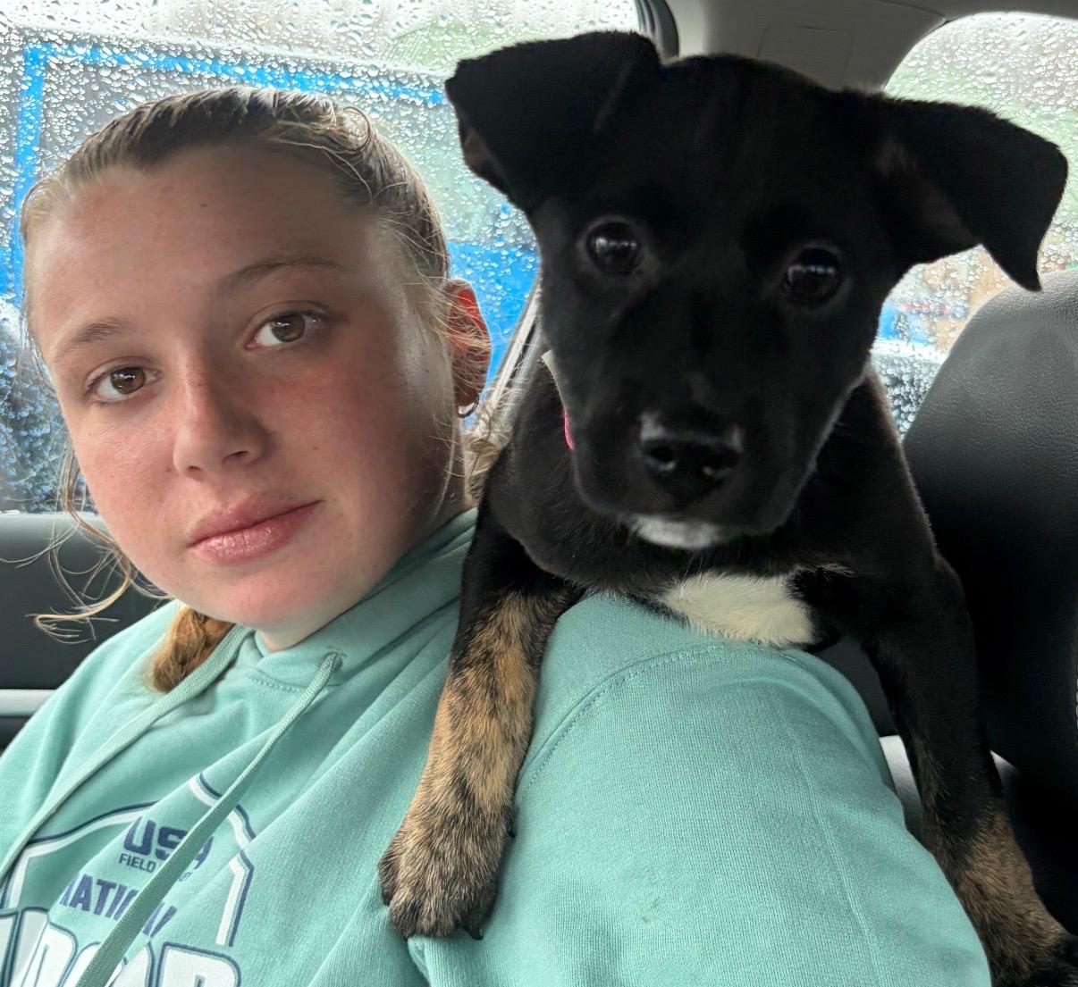 Enlarge Raine , a Adoptable mixed breed in Hamilton , NJ image 2/2