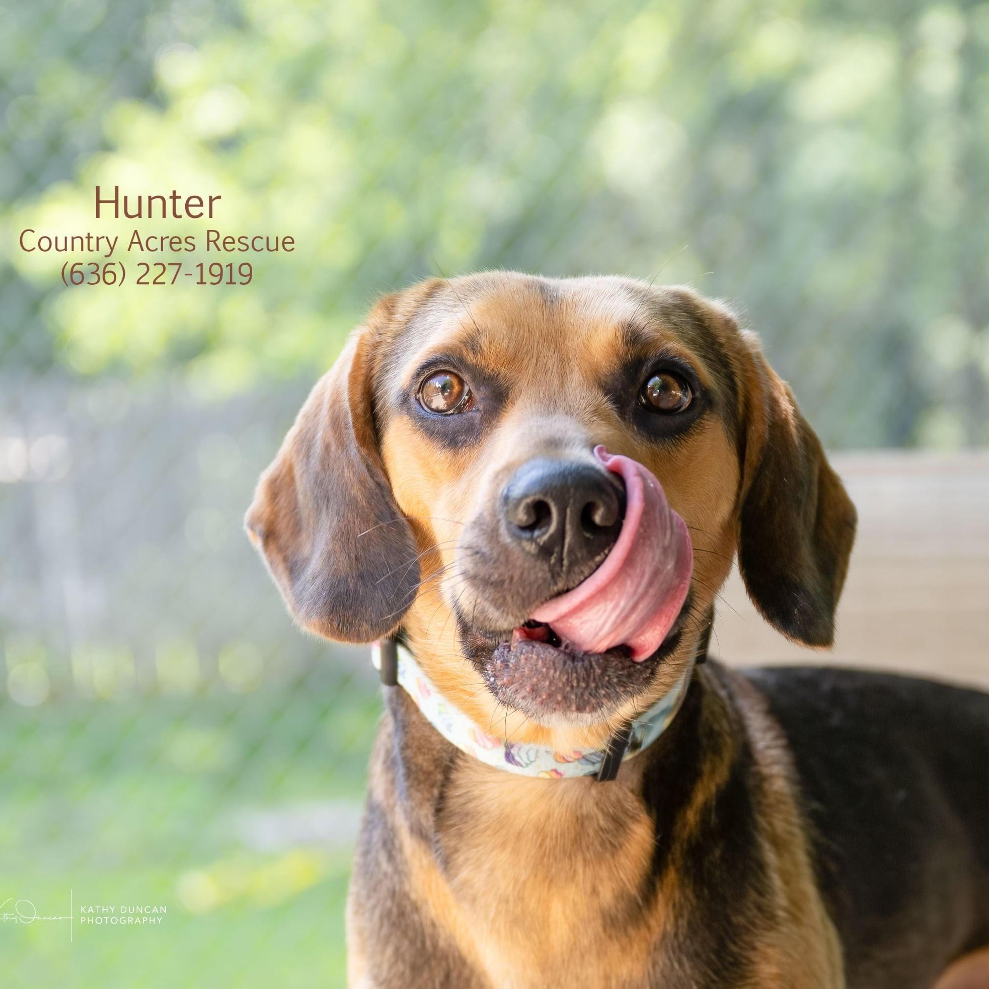 Hunter