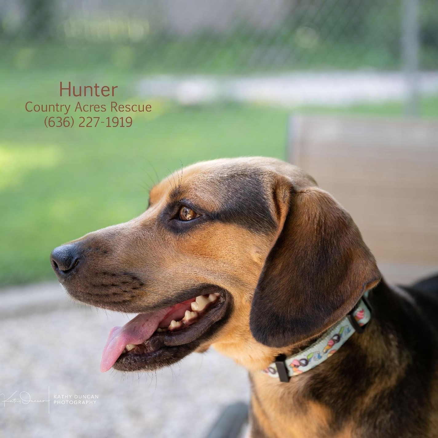 Hunter