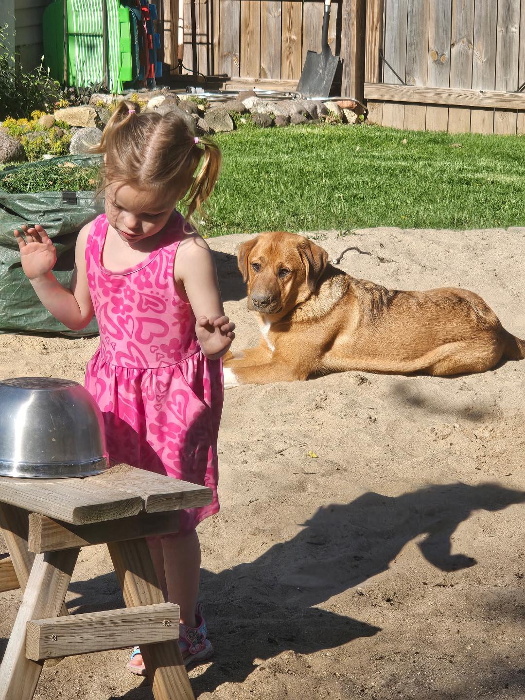 Sienna A+ thumbnail 6