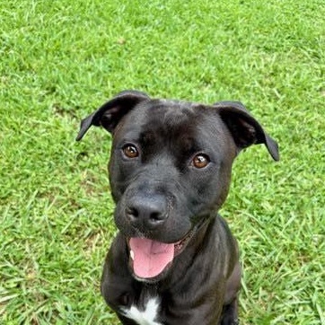 Seagull (20260127-04) — thumbnail 2