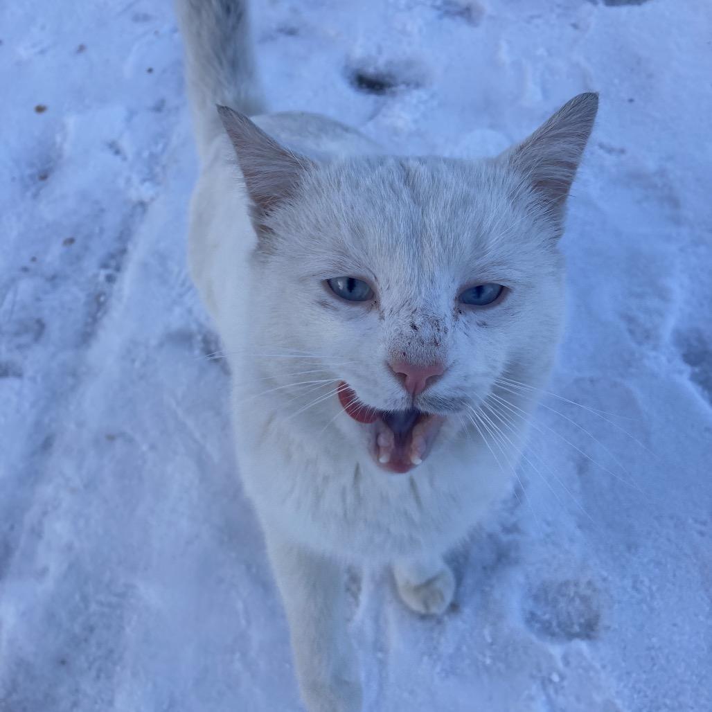 Garfunkel thumbnail 2