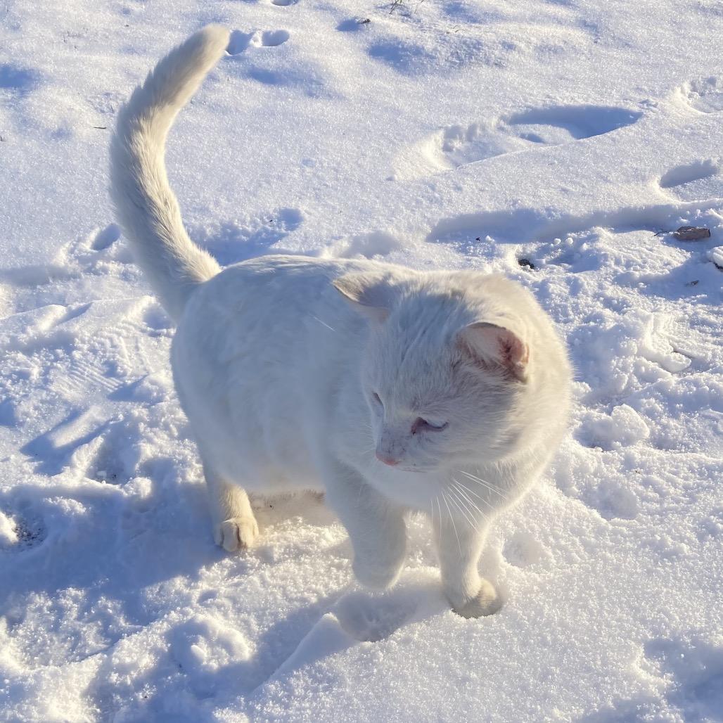 Garfunkel thumbnail 3