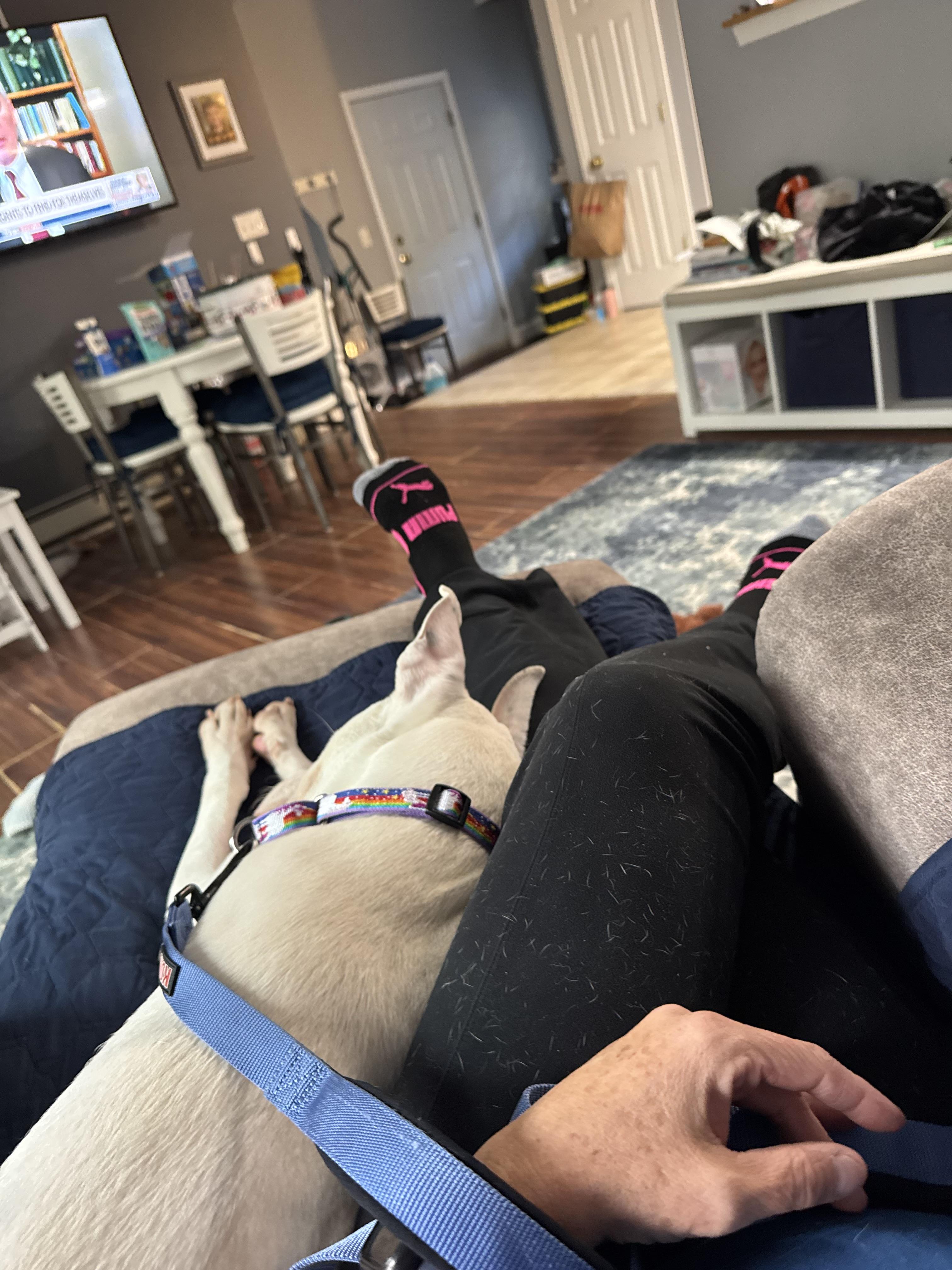 TIFF (watch the reel!)