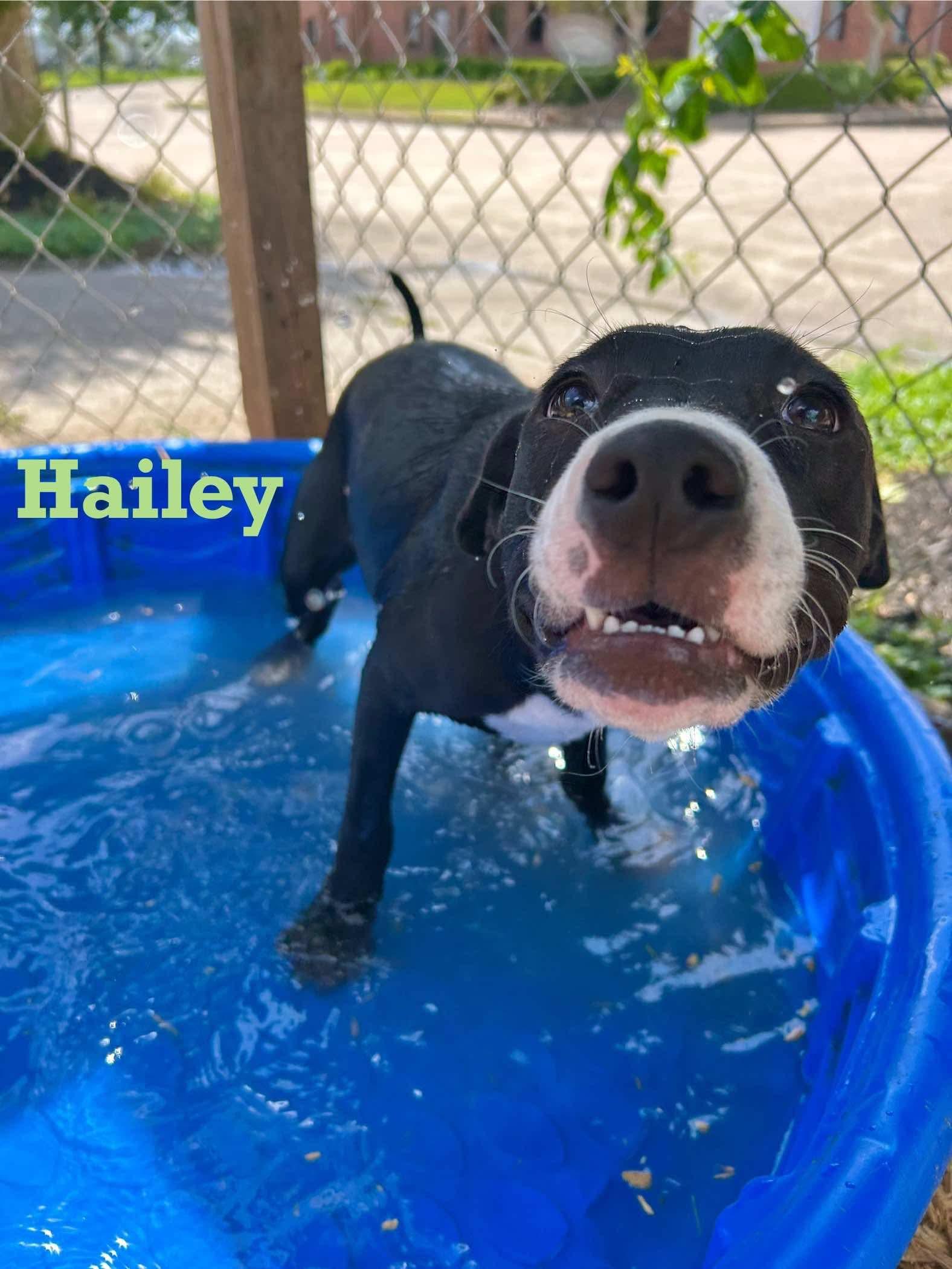 Hailey