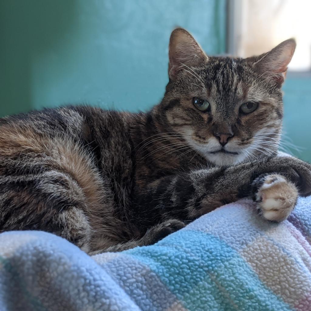 Katie — thumbnail 3