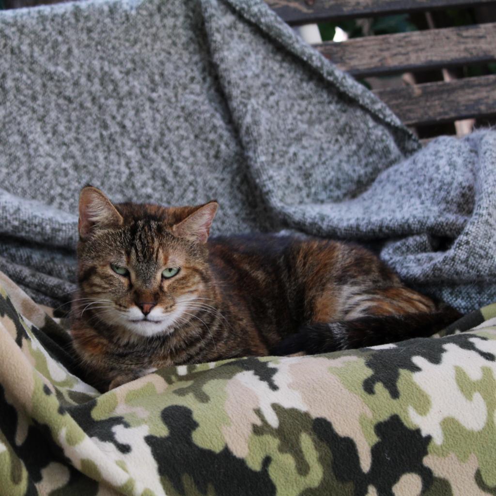 Katie — thumbnail 4