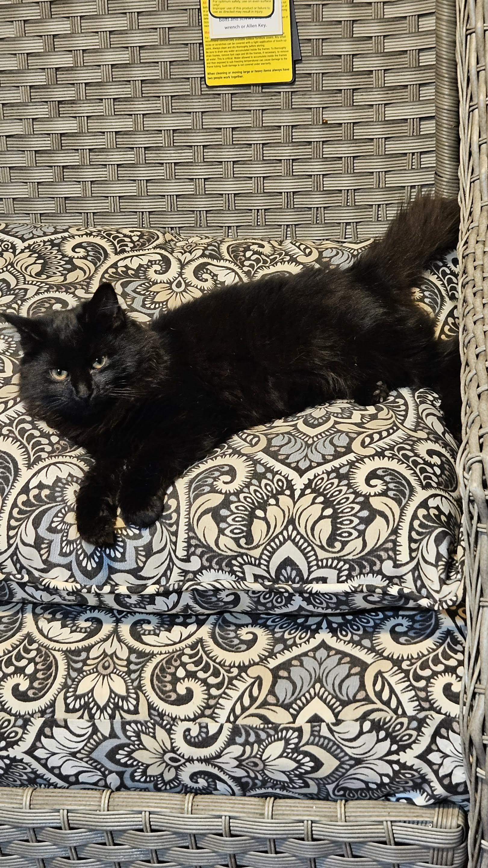 Walle & Eve thumbnail 2