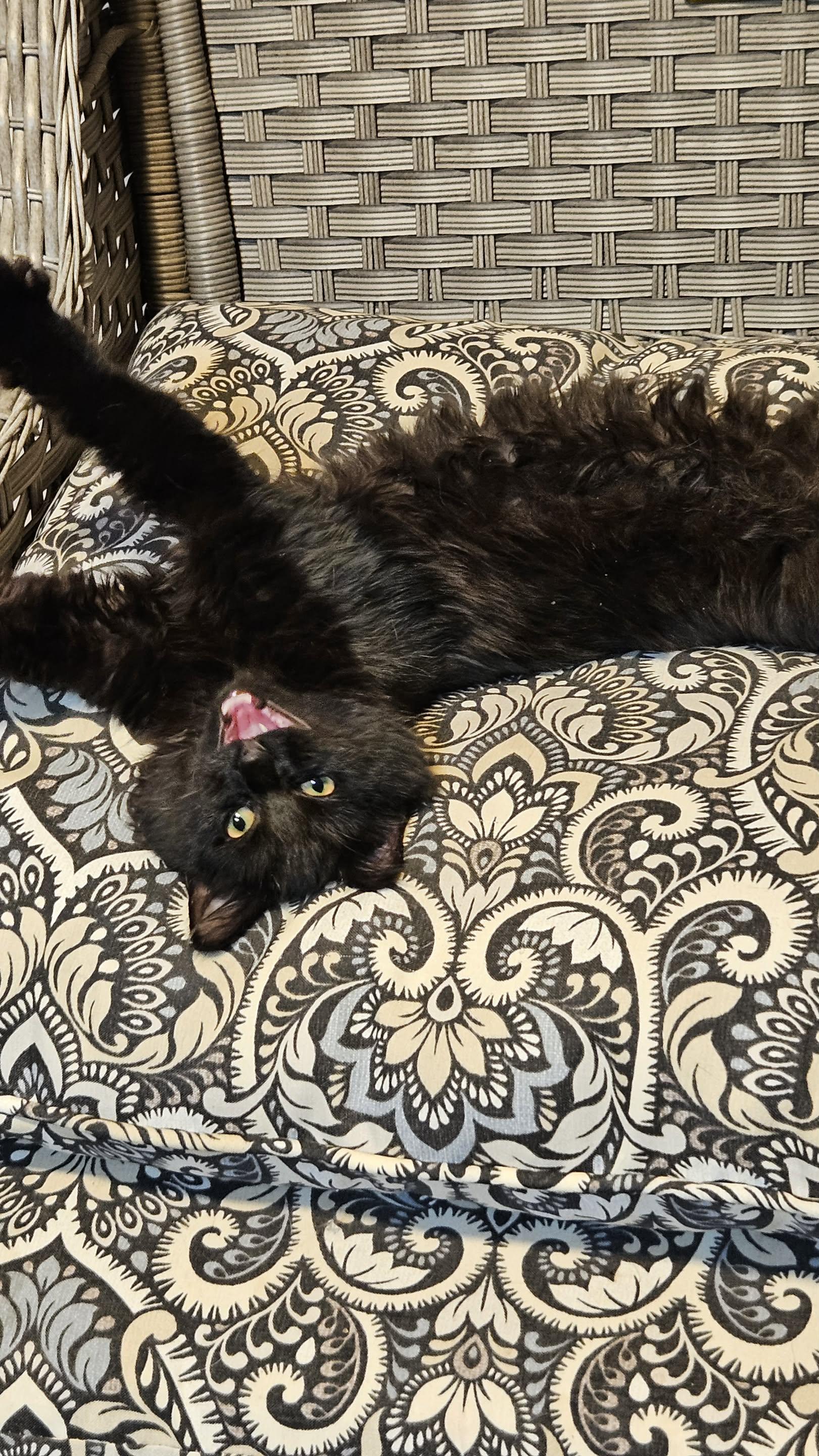 Walle & Eve thumbnail 3