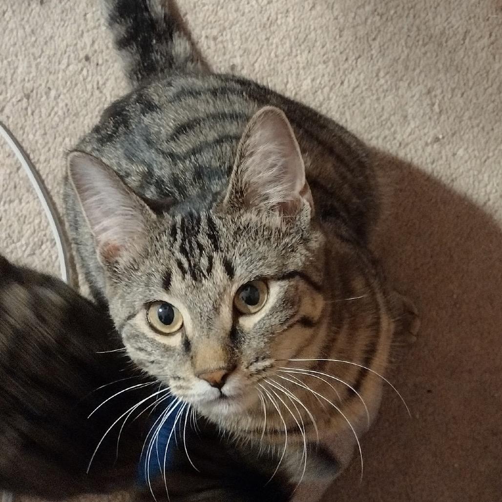 Arlene — thumbnail 3