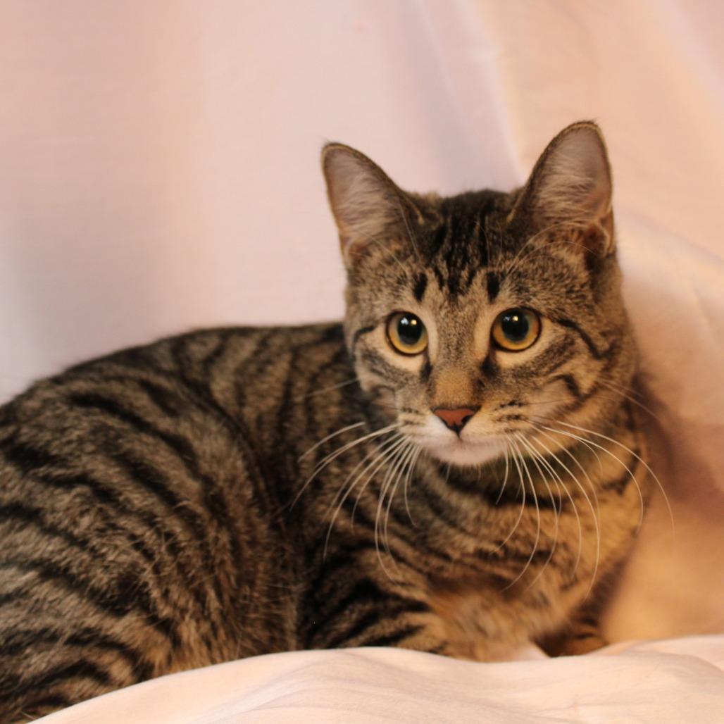 Arlene — thumbnail 4