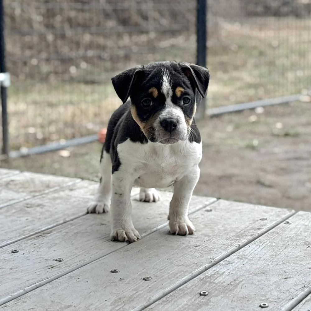 Eleven — thumbnail 2