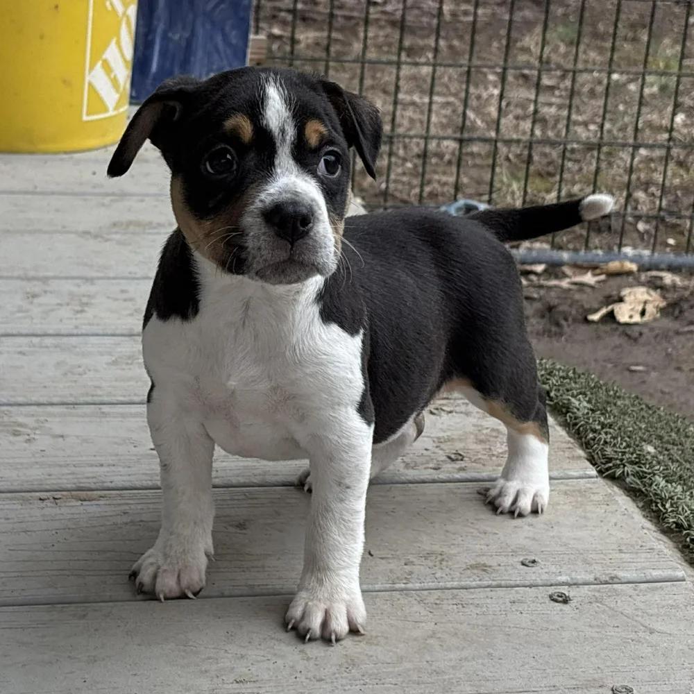 Eleven — thumbnail 3