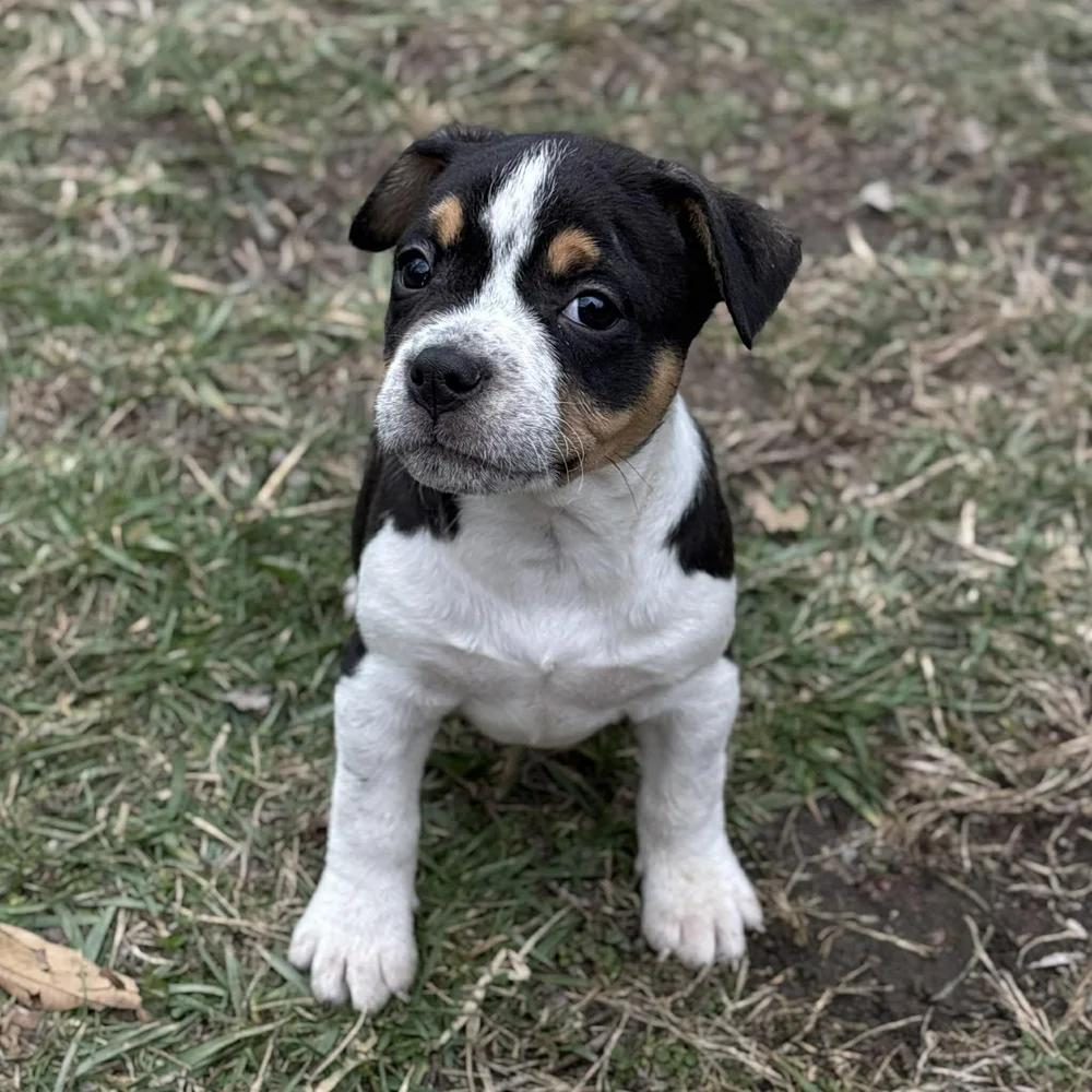 Eleven — thumbnail 4