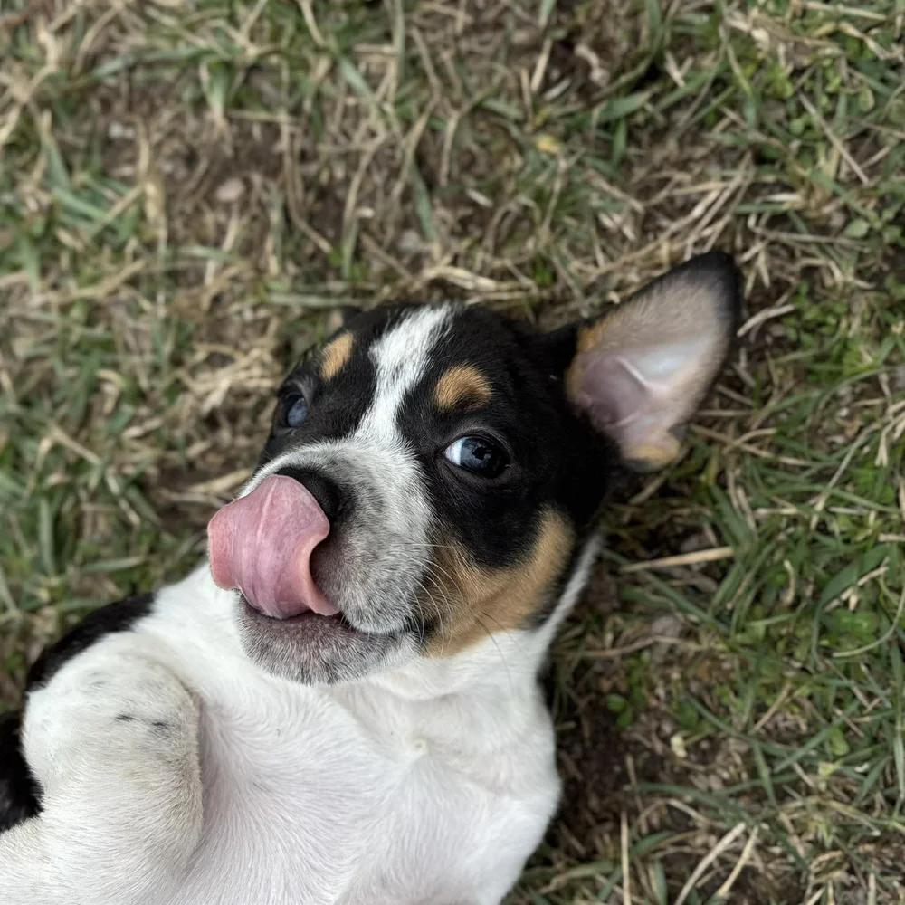 Eleven — thumbnail 6