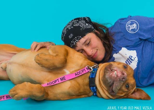 Julius, an adoptable Vizsla in Melbourne, KY, 41059 | Photo Image 4