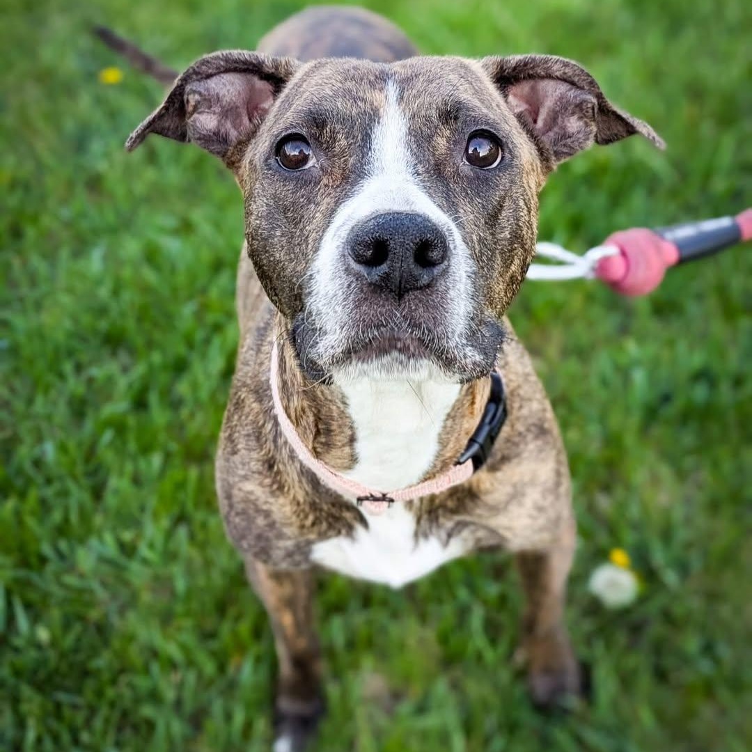 Bella photo 4