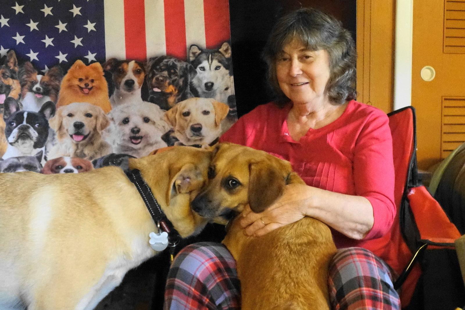 Callie, a Adoptable mixed breed in Doylestown, PA image 1/3