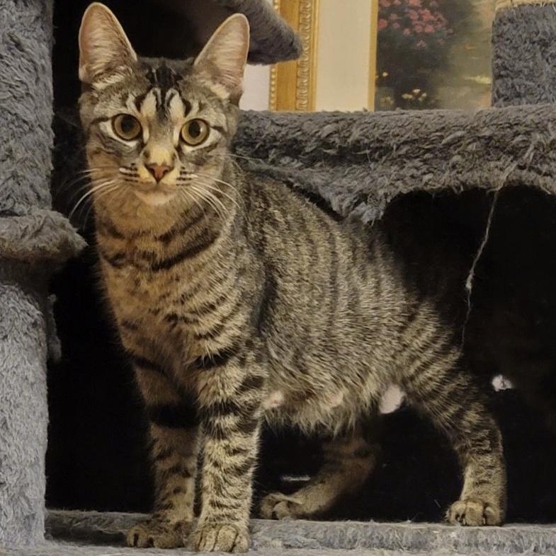 Delilah thumbnail 6