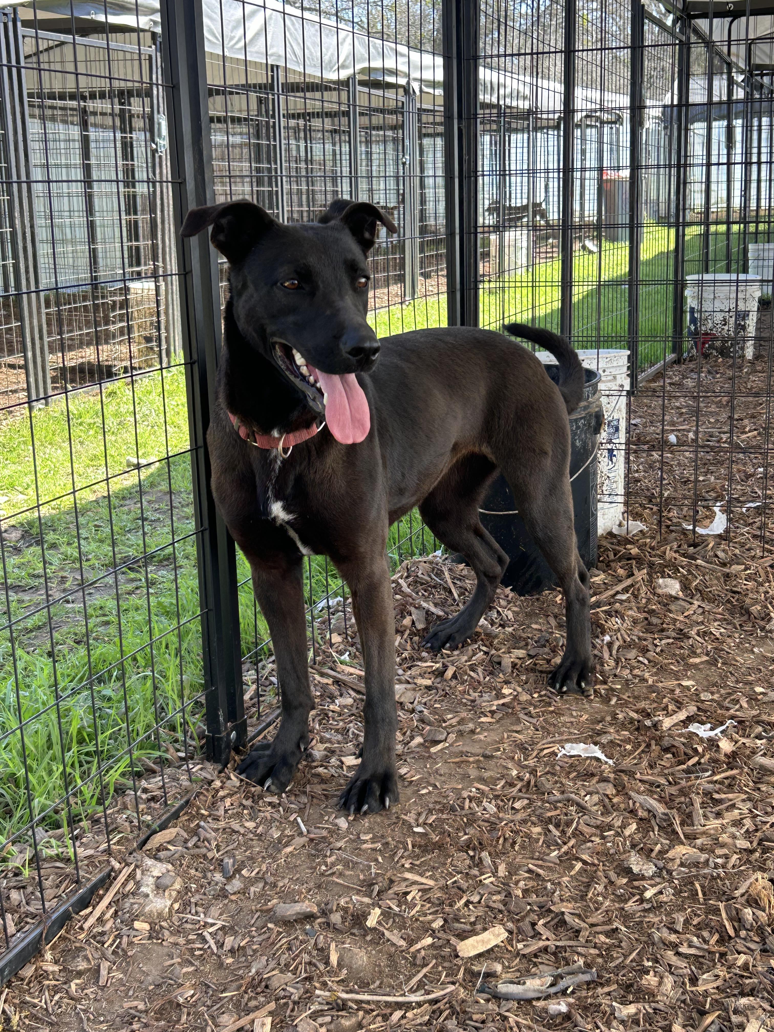 Galaxy — thumbnail 2