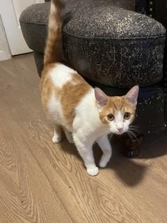 Camille — thumbnail 2