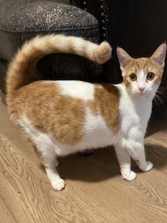 Camille — thumbnail 5