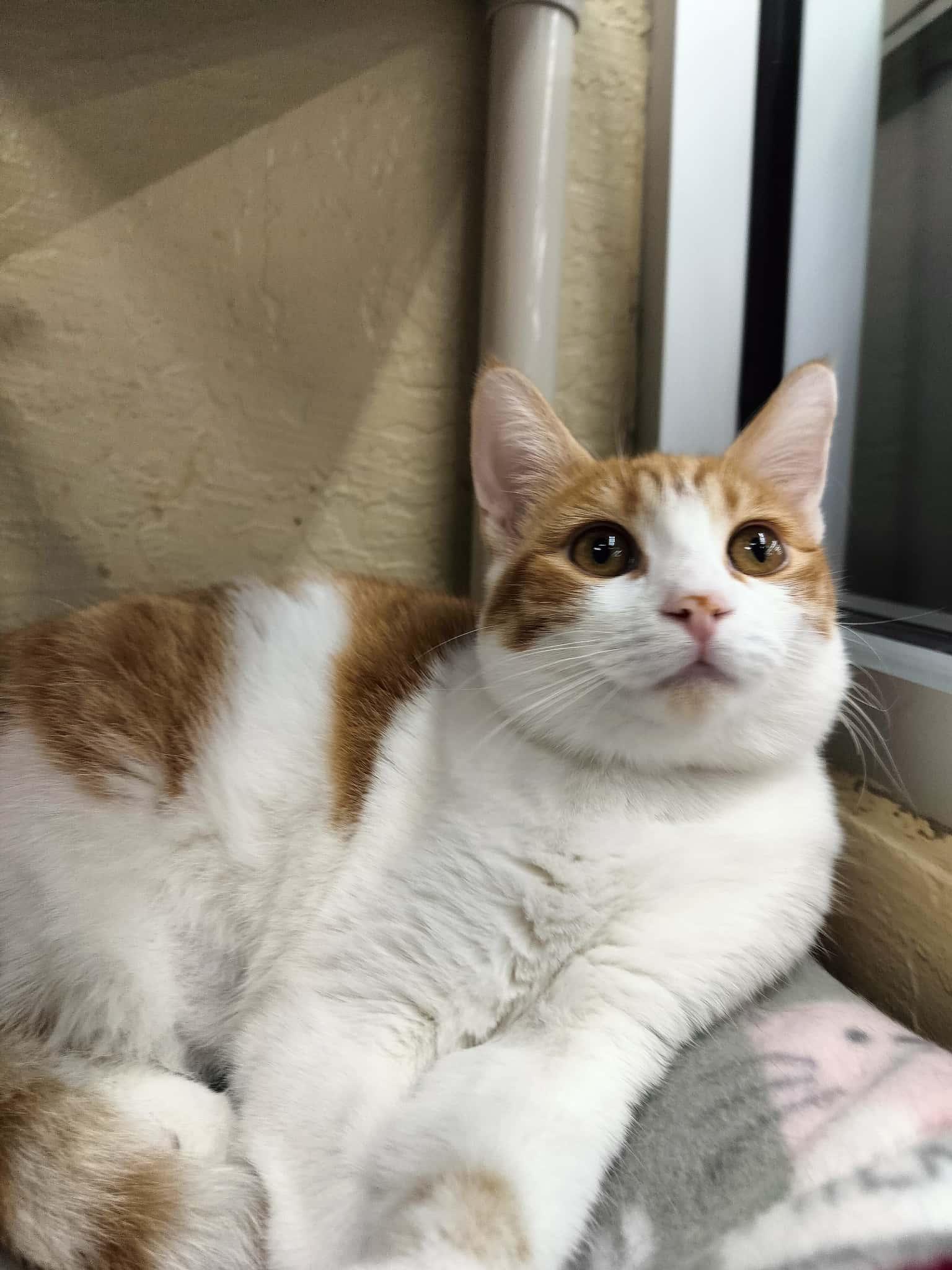 Camille — thumbnail 6