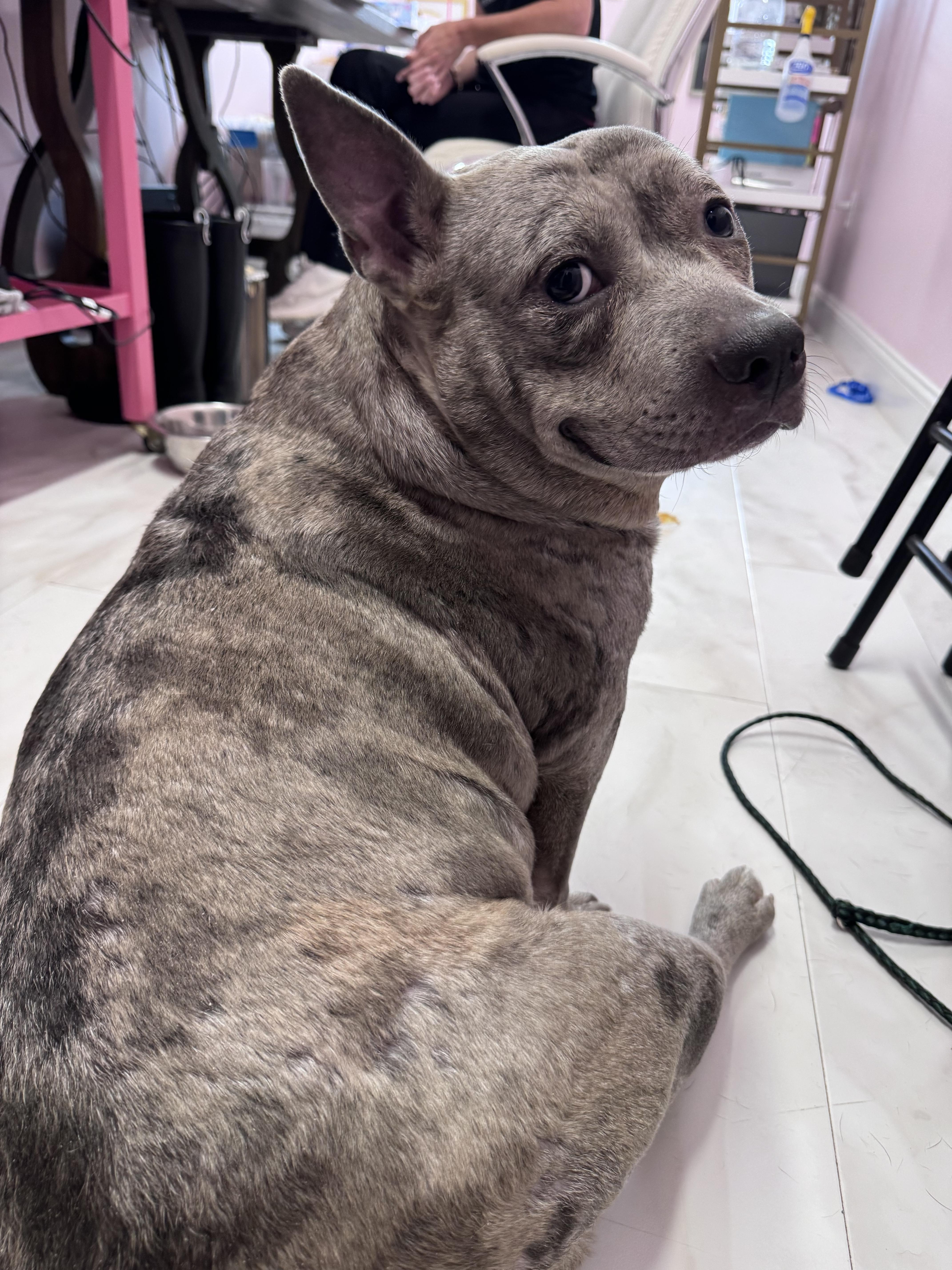Wanda photo 1