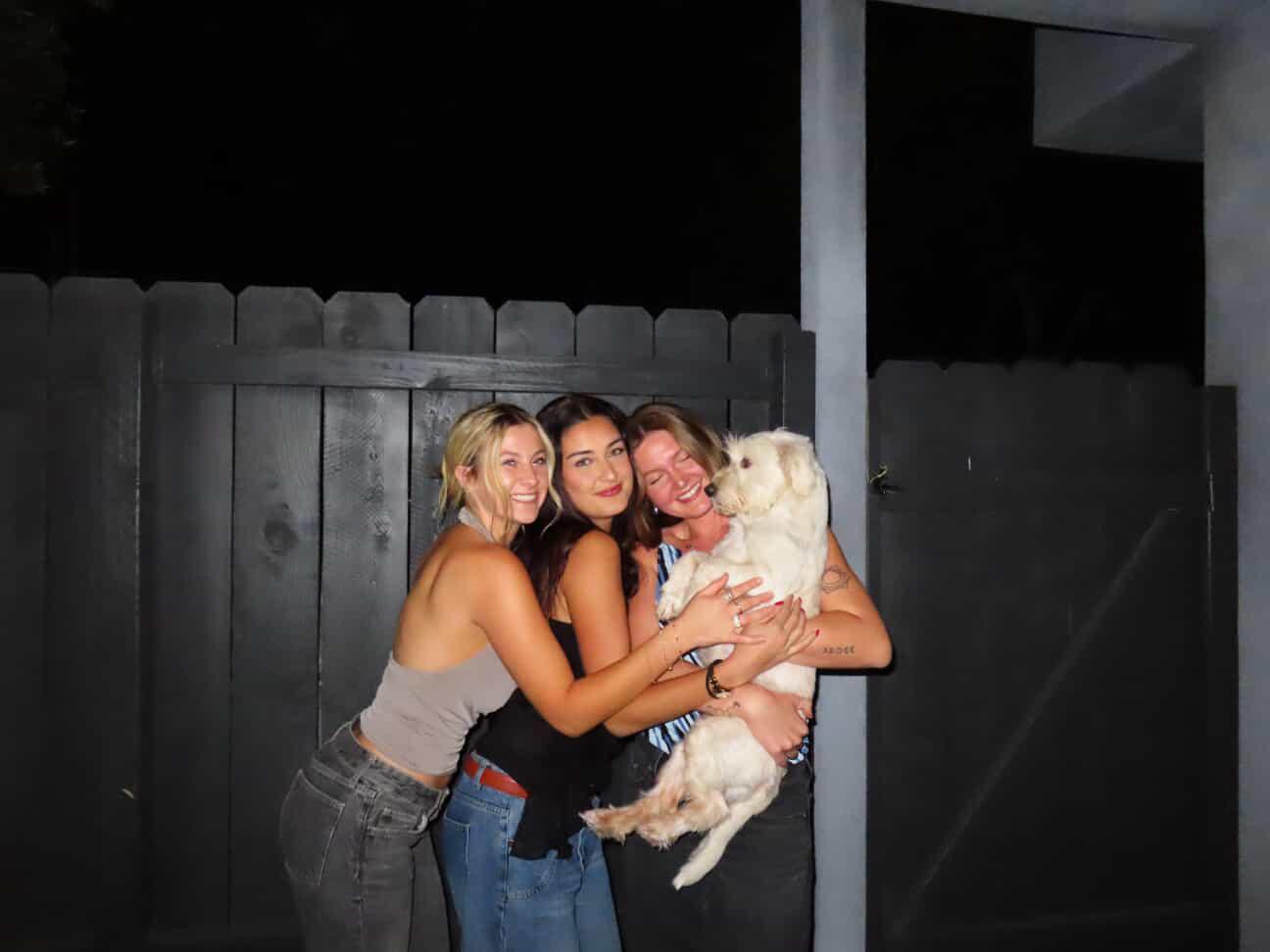 Enlarge Fiona, an adopted mixed breed in San Diego, CA image 4/6