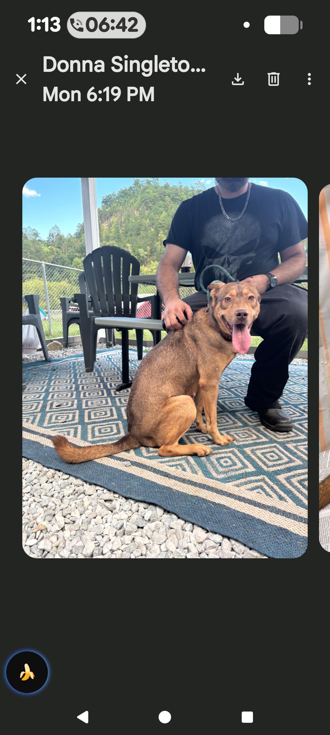 Enlarge Chuckles, a Adoptable Mixed Breed in Hazard, KY image 1/1