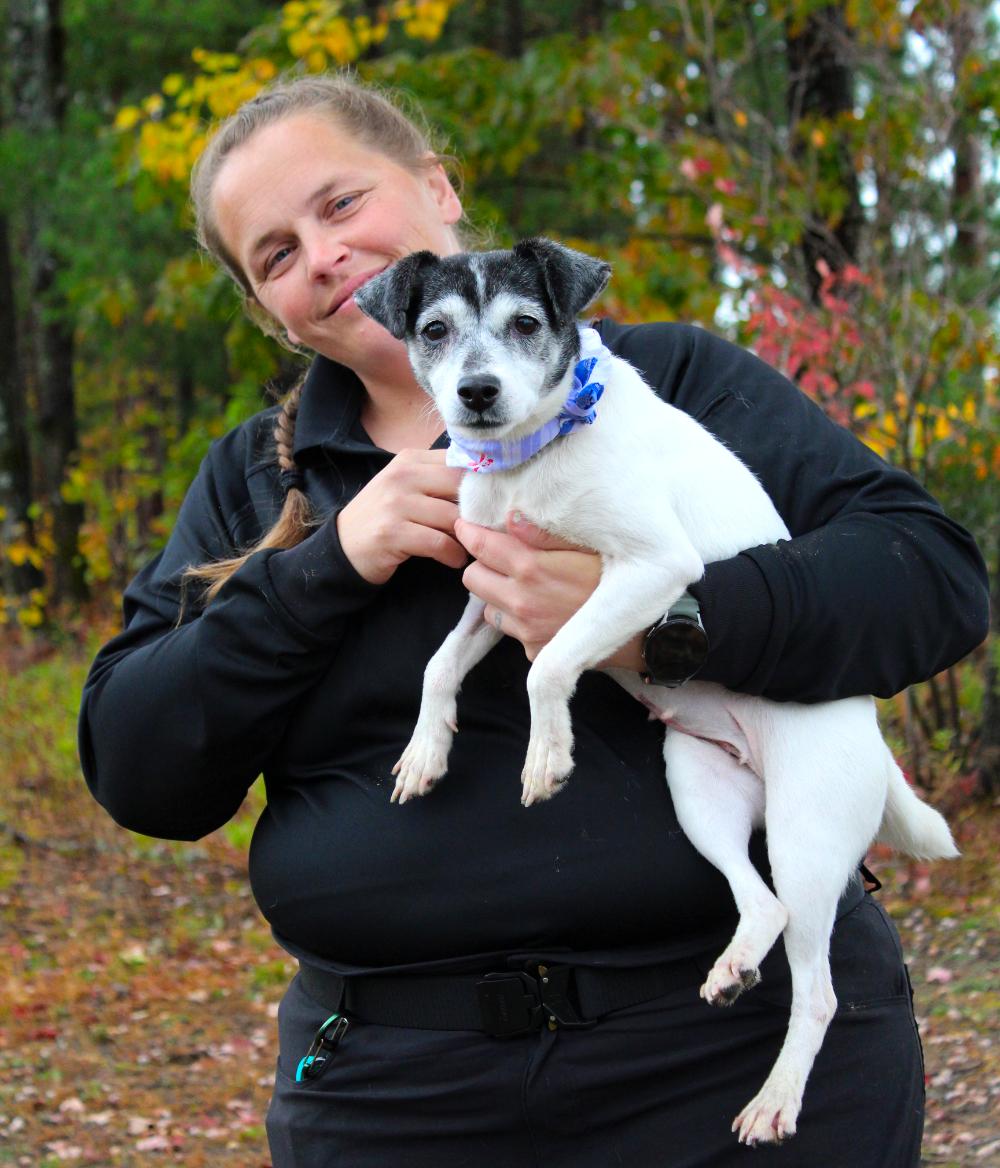 Oreo (Part of a bonded pair with Snickers), an adoptable Jack Russell Terrier in Cheboygan, MI, 49721 | Photo Image 6