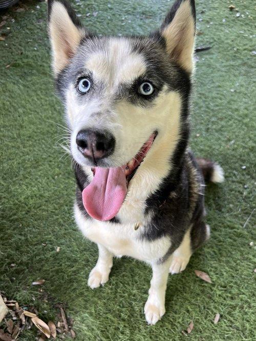Nala Mae