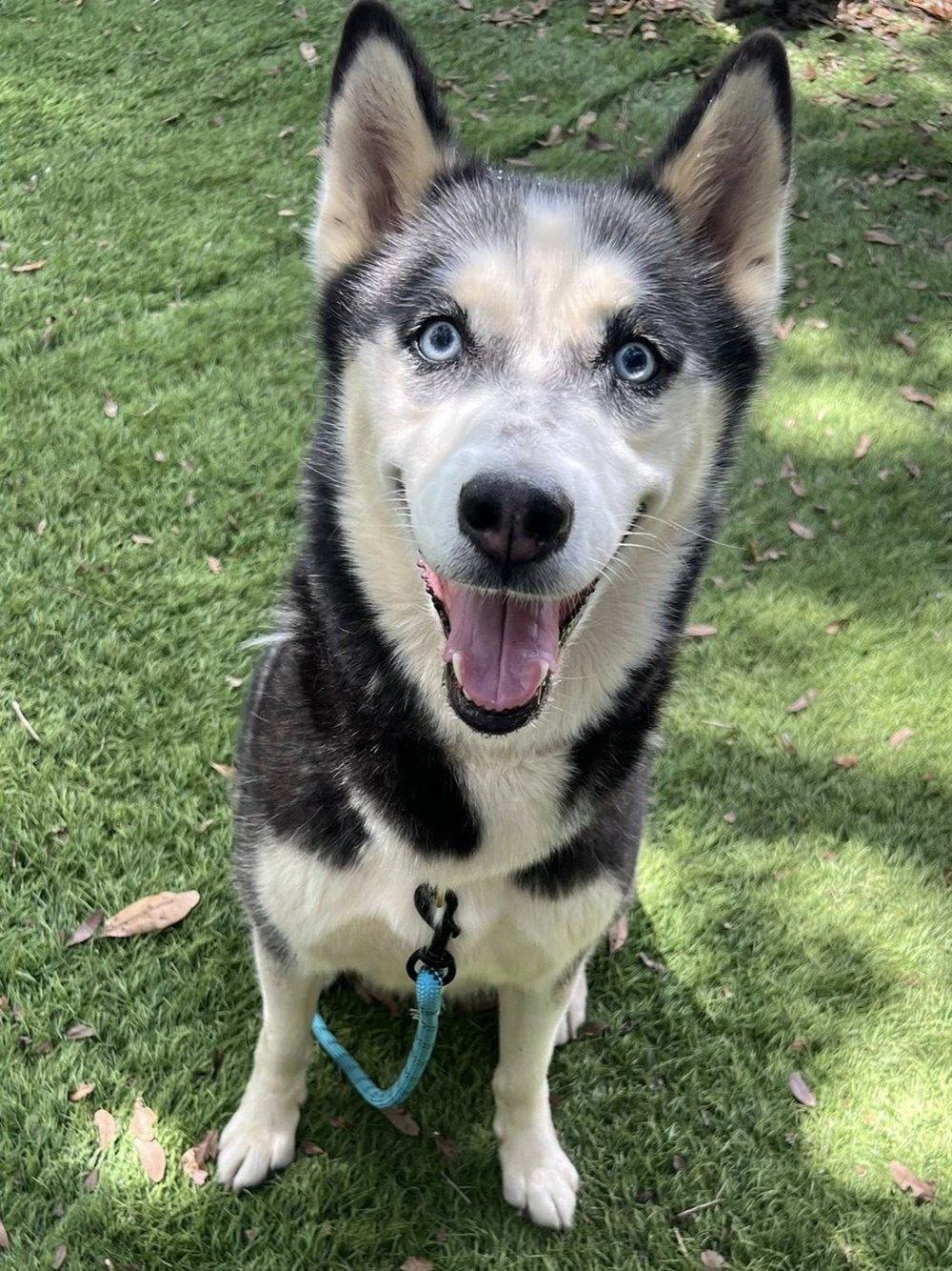Nala Mae