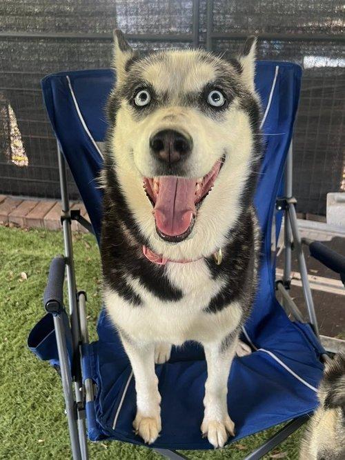 Nala Mae