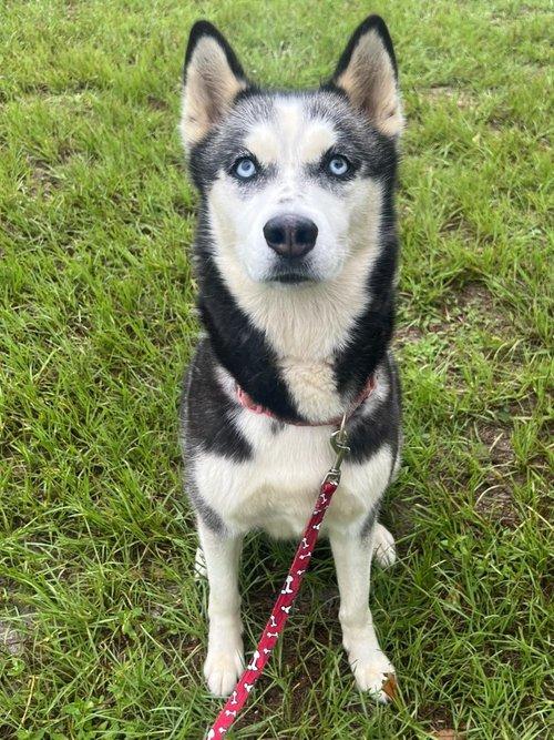 Nala Mae