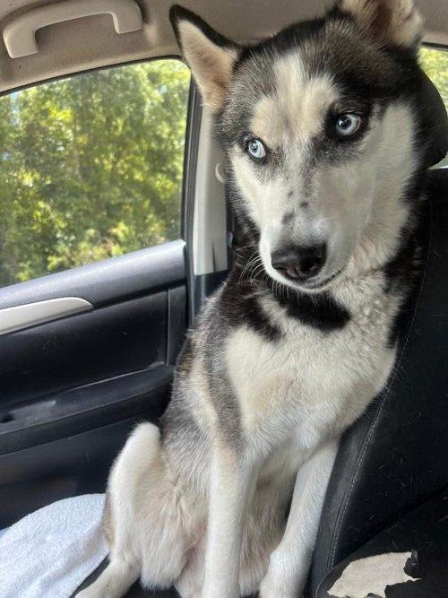 Nala Mae