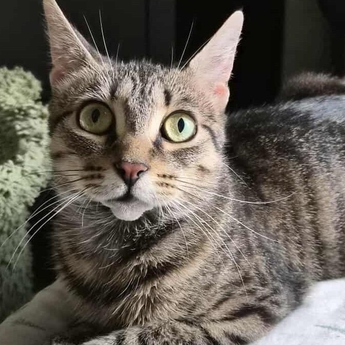 Winnie - A Sweet Little Lovebug!
