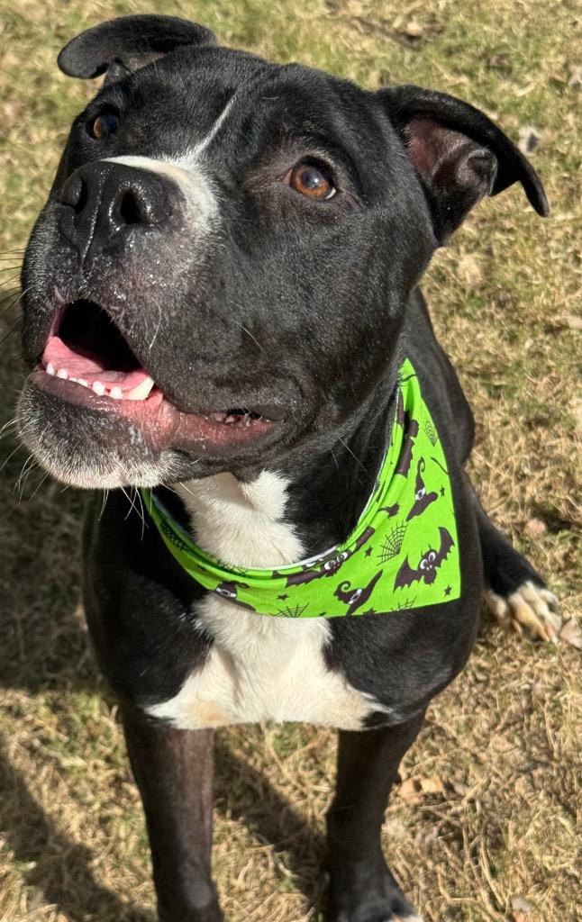 Brewster thumbnail 3