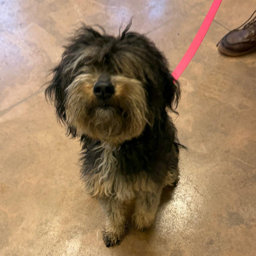 Diva — thumbnail 2